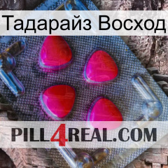 Тадарайз Восход 13